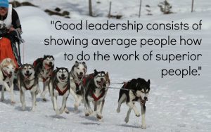 dog sled - leaders made, not born