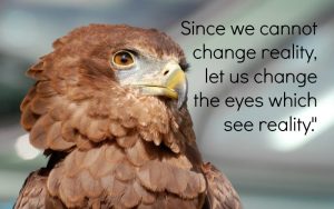 eagle eye - adapt to change - text